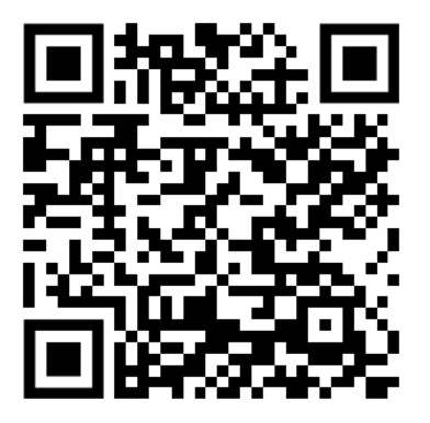 blankensee_bus_google